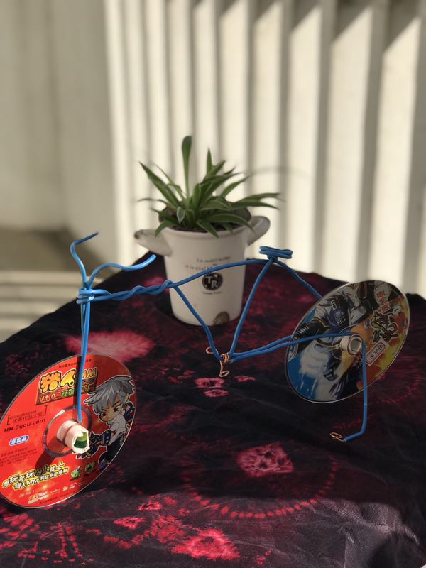凤溪中学开展""倡导勤俭节约,我爱变废为宝"环保手工