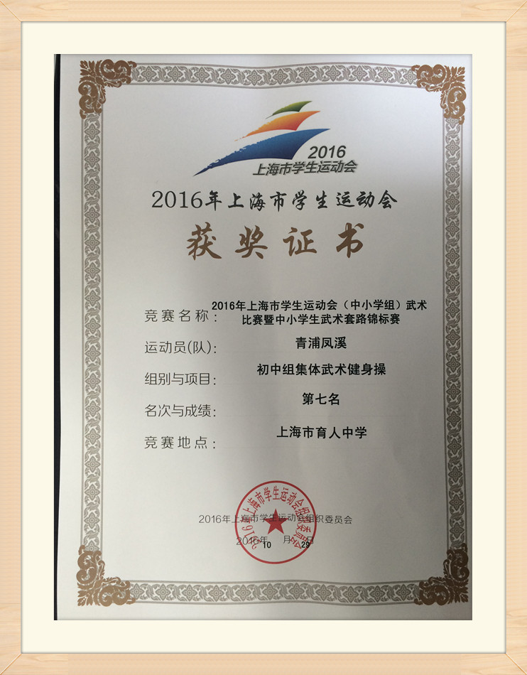 华拳二等奖陈俊杰张汉语朱俊杰获得中学组武术比赛"体育道德风尚奖"